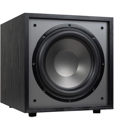 Amazon.com: Dayton Audio SUB-1200 12